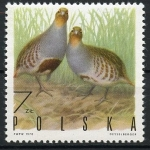 Stamps : Europe : Poland :  Caza, perdiz