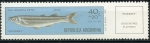 Stamps : America : Argentina :  Pescado