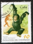 Stamps Cuba -  Chimpance