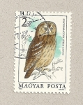 Stamps Hungary -  Strix aluco