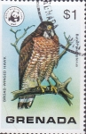 Stamps Grenada -  pajaros