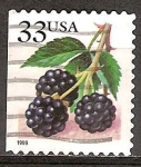 Stamps United States -  Bayas de Frutas: Moras.