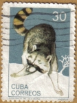 Sellos de America - Cuba -  MAPACHE