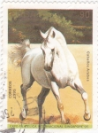 Sellos de America - Cuba -  Caballos Arabes