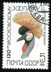 Stamps Russia -  120 Aniversario del zoo de Moscú - Grulla real sudafricana