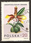 Sellos de Europa - Polonia -  Orquídeas 