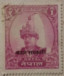 Stamps Asia - Nepal -  nepal