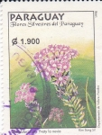 Sellos de America - Paraguay -  Flores silvestres de Paraguay