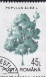 Stamps Romania -  arbol