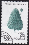 Stamps Romania -  arbol