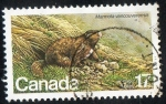 Stamps Canada -  