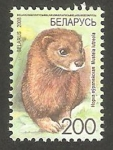 Stamps Belarus -  632 - Visón