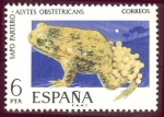 Stamps Spain -  1975 Fauna Hispánica. Sapo Partero - Edifil:2275