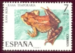 Sellos del Mundo : Europa : Espa�a : 1975 Fauna Hispánica. Rana Roja - Edifil:2276