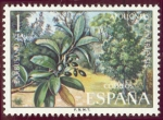 Sellos de Europa - Espa�a -  1973 Flora. Barbusano - Edifil:2120