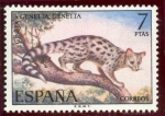 Sellos de Europa - Espa�a -  1971 Fauna Hispánica. Lince. - Edifil:2037