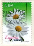 Stamps Spain -  4575 Margarita común