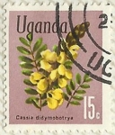 Sellos de Africa - Uganda -  CASSIA DIDYMOBOTRYA