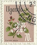 Sellos de Africa - Uganda -  CARISSA EDULIS