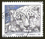 Stamps Sweden -  LEOPARDO DE LAS NIEVES