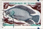 Stamps Chad -  23 Tilapia Nilotica