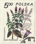 Sellos de Europa - Polonia -  PLANTAS MEDICINALES