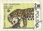 Sellos de Europa - Polonia -  ANIMALES DEL ZOO DE VARSOVIA