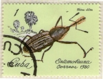 Stamps Cuba -  17 Entomofauna