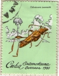 Sellos de America - Cuba -  50 Entomofauna