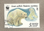 Stamps Russia -  Oso polar Thalarctos maritimus