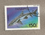 Stamps Tanzania -  Pez Triacenodon obesus