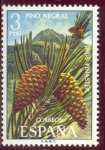 Stamps Spain -  1972 Flora. Pino Negral - Edifil:2087