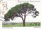 Stamps Spain -  Arboles monumentales-Pino de Fuentepiña,Moguer(Huelva)   (L)