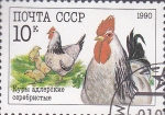 Stamps Russia -  pollo