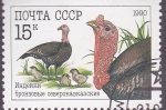 Stamps Russia -  pavo