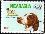 Sellos del Mundo : America : Nicaragua : Brittany Spaniel