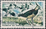 Sellos de Europa - Francia -  PÁJAROS. AVEFRÍA. Y&T Nº 1273