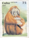 Stamps Cuba -  Animales del Zoológico- pongo pygmaeus