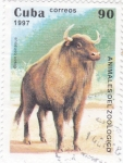 Stamps Cuba -  Animales del Zoológico- Bisón bonasus