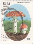 Sellos de America - Cuba -  Setas- Amanita muscaria