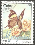 Stamps Cuba -  Mariposa