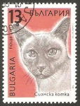 Stamps : Europe : Bulgaria :  3291 - Gato Siamés