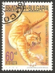 Sellos del Mundo : Europe : Bulgaria : 3772 - Gato Tabby Europeo