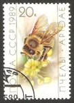 Sellos de Europa - Rusia -  5629 - abeja obrera