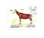 Stamps Oman -  fauna  OKAPI