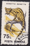 Stamps Romania -  gineta