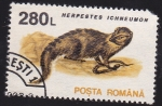 Stamps Romania -  tejon