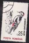 Stamps Romania -  pajaro carpintero