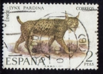 Stamps Spain -  1971 Fauna Hispánica. Lince - Edifil:2037