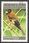 Sellos de Africa - Guinea -  Ave carduelis cucullata